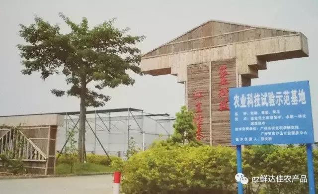 南沙農業生產91视频福利网站